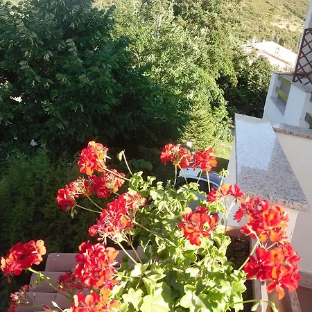 La Ginestra Chia