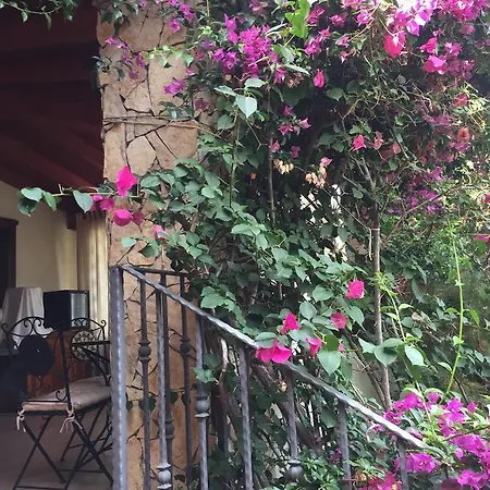 La Ginestra Chia Domus De Maria