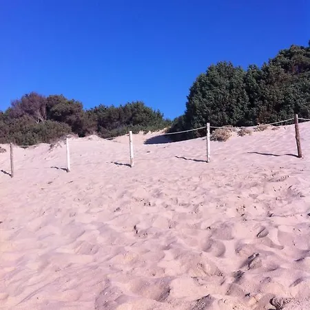 La Ginestra Chia
